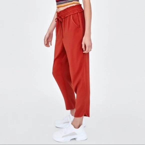 Zara Flowy Drawstring Pants - Picture 2 of 5
